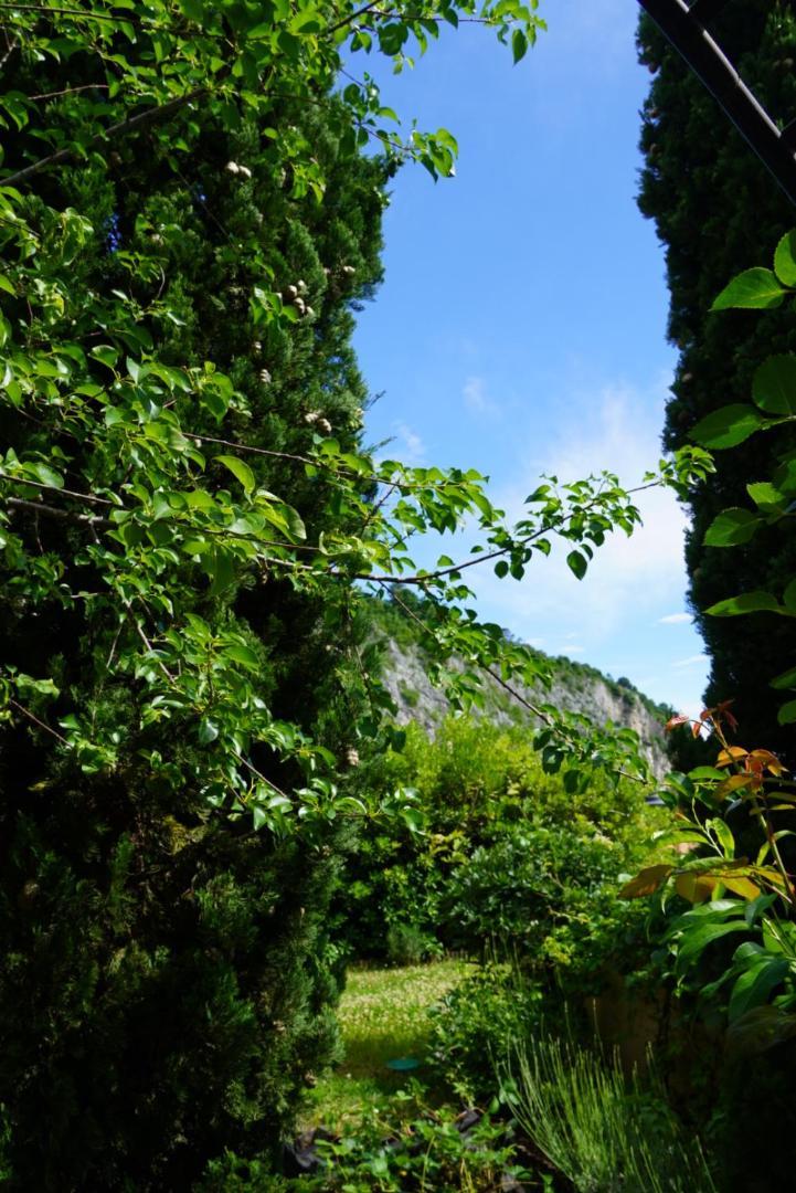 Portopiccolo Apartments With Garden And Beach Included システィアーナ エクステリア 写真